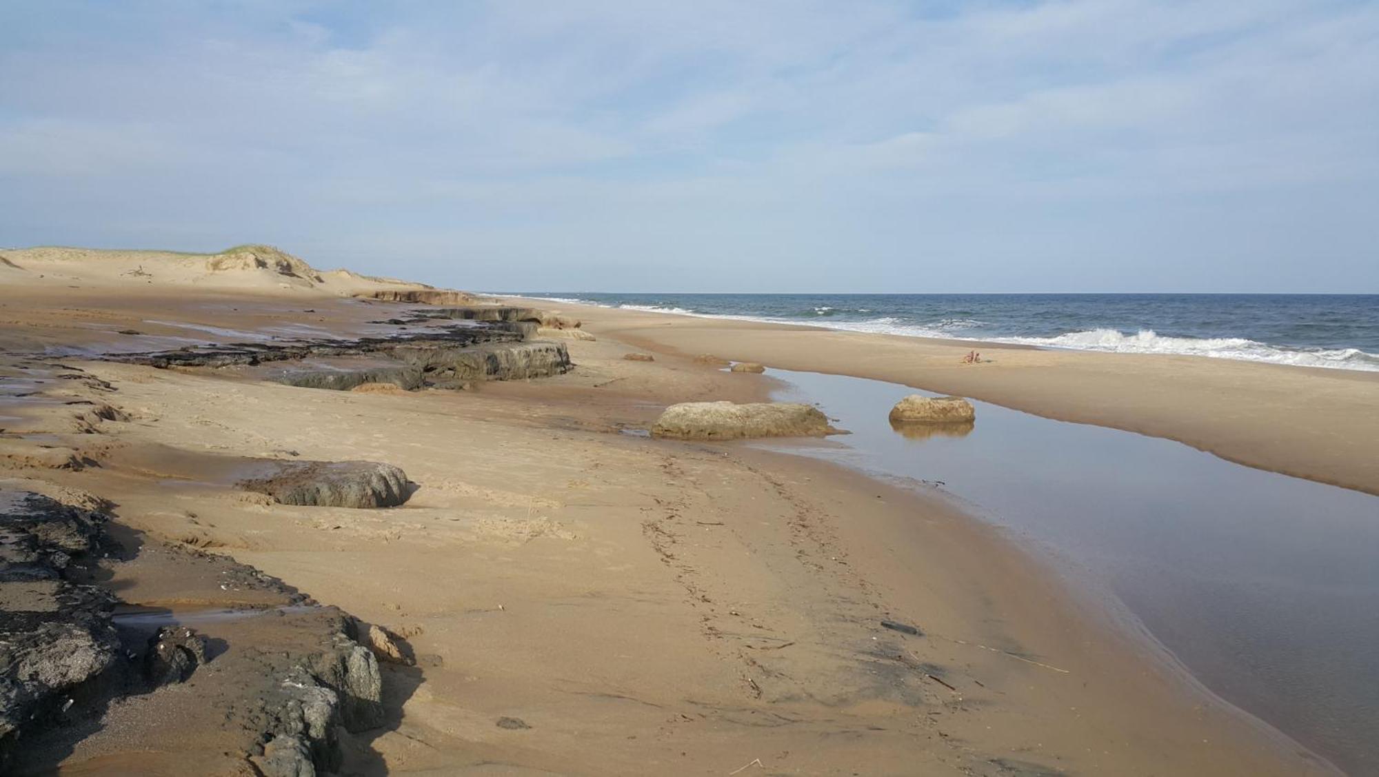 Posada Buscavida Close To Cabo Polonio, Oceania Del Polonio Rincón de los Oliveras 외부 사진